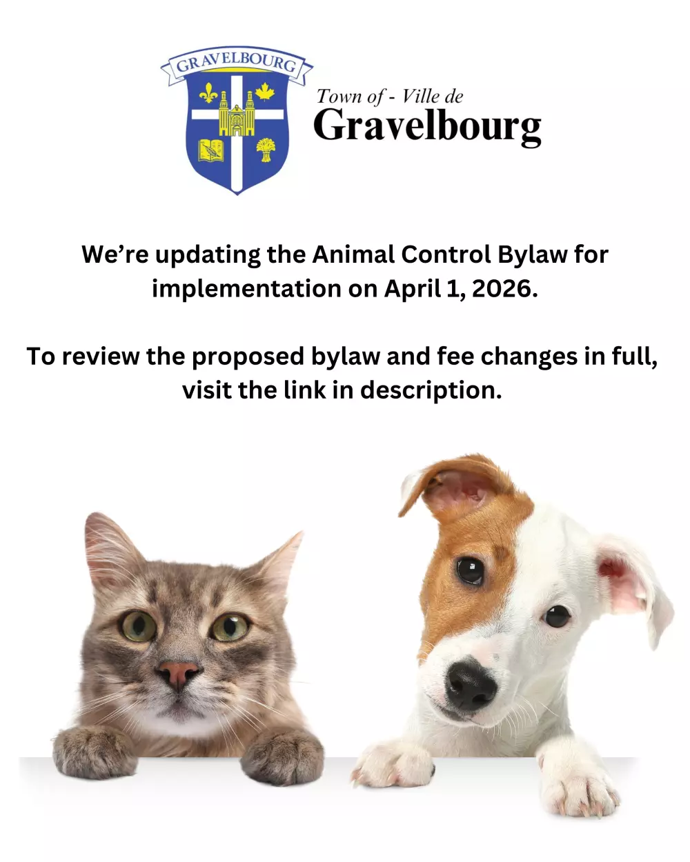 We're updating the Animal Control Bylaw