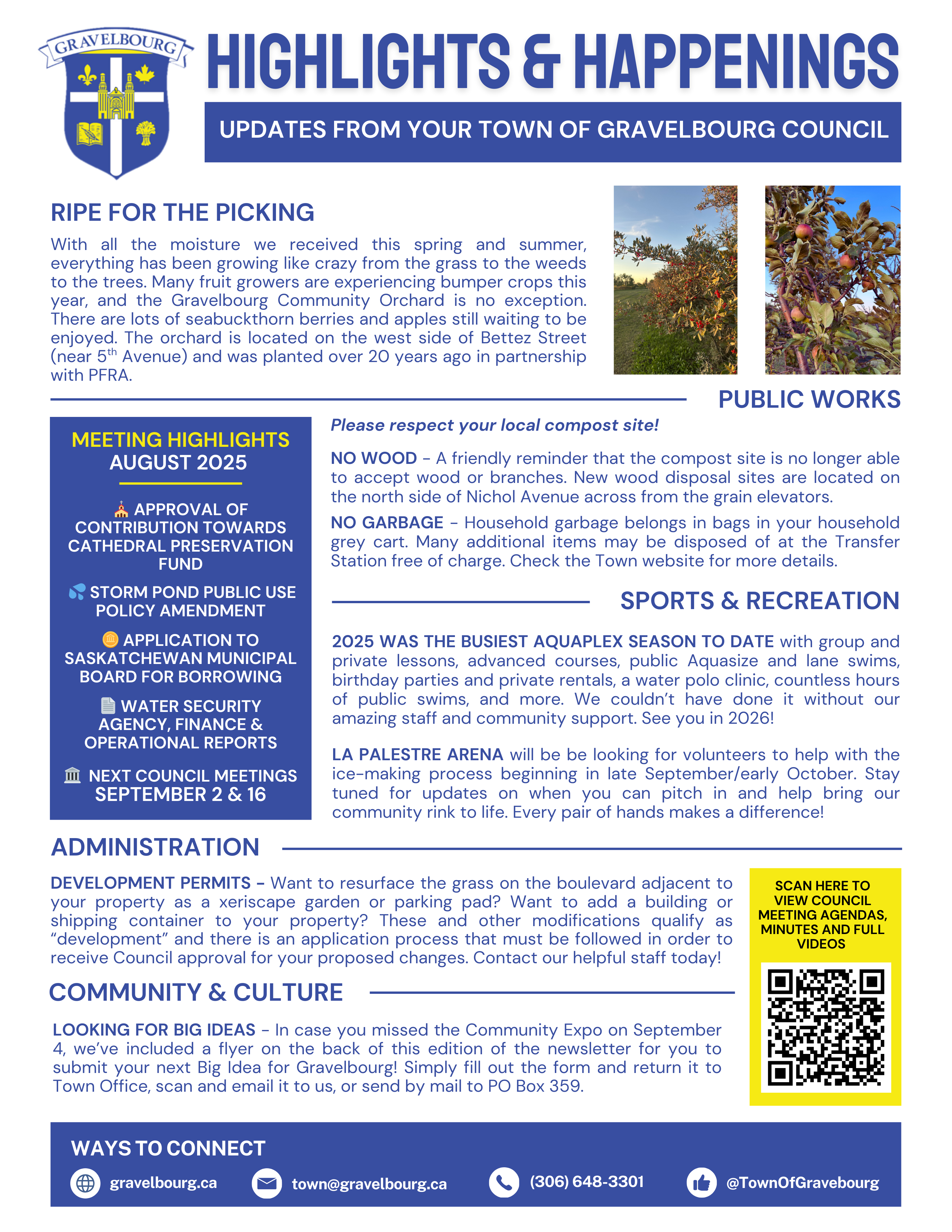 bylaws and policies link